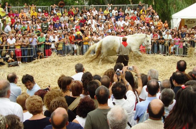 Raddusa. La 27^ “Festa del Grano” sarà celebrata nei giorni 8 - 9 - 10 settembre 